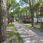 Semesteranläggning (resort) Ca' Pasquali Village